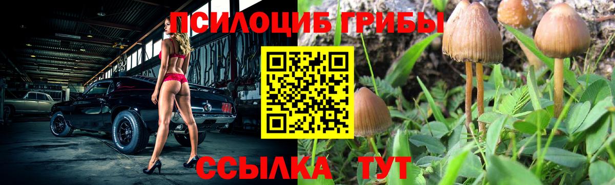 Галлюциногенные грибы Psilocybe Нефтекумск